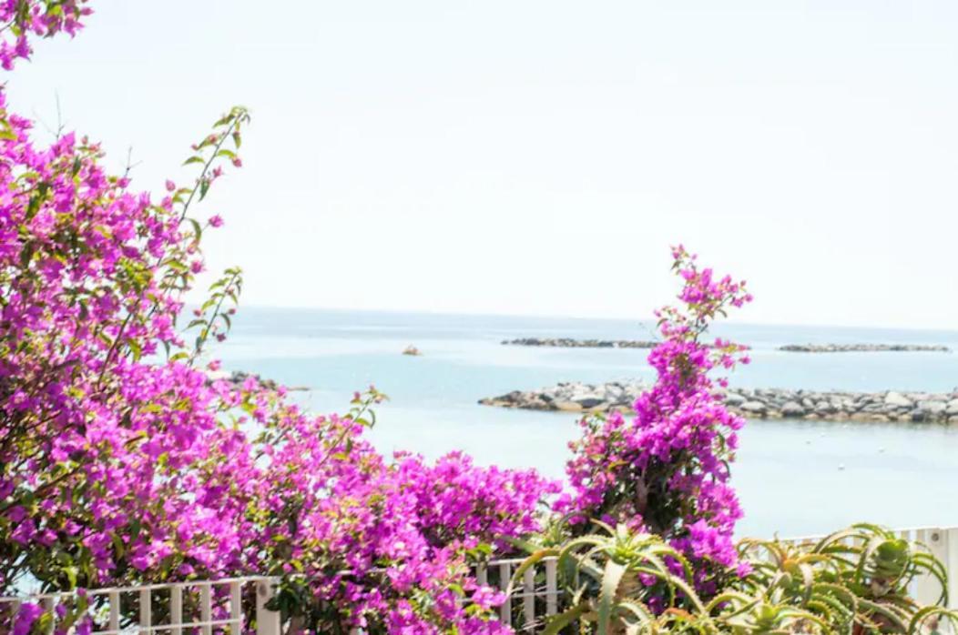 Rosa Centralissimo Sanremo Exteriör bild